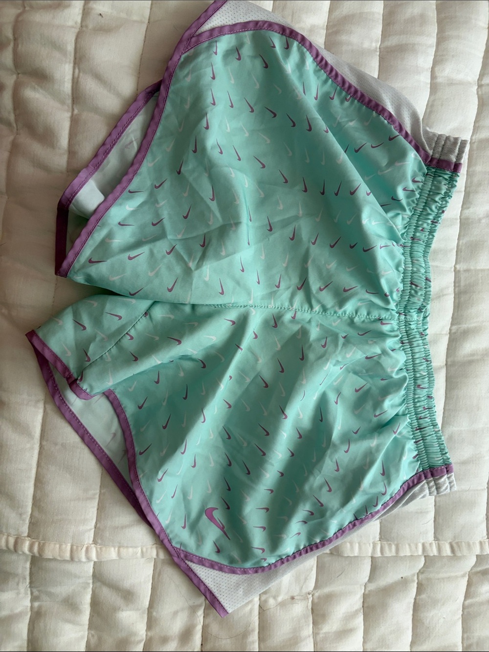 Nike Mint Green Shorts with Purple Trim